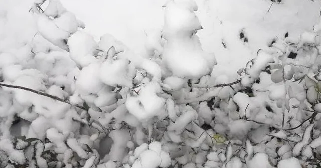 В горах Азербайджана идёт снег Minval Politika