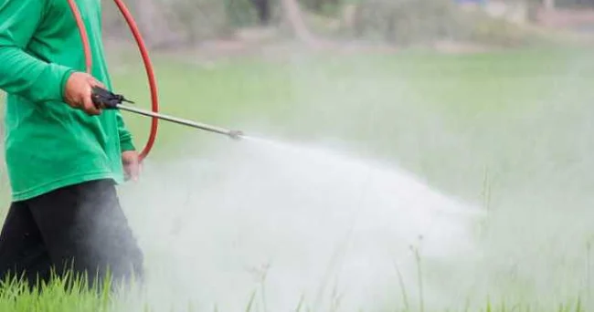 Məşhur pestisid xəstəlik riskini 2,5 dəfə artırır ARAŞDIRMA