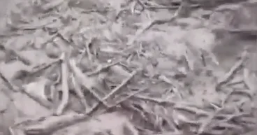 Сход селевого потока в Индонезии ВИДЕО