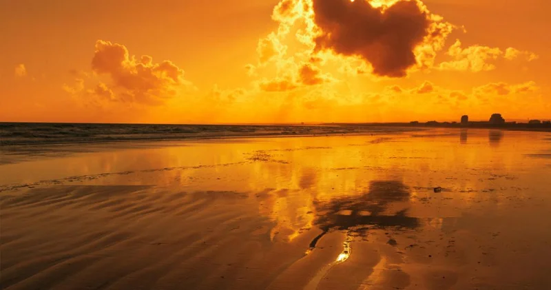 15 milyon il əvvəl dəniz səviyyəsinin enməsi ilə bağlı sensasion kəşf