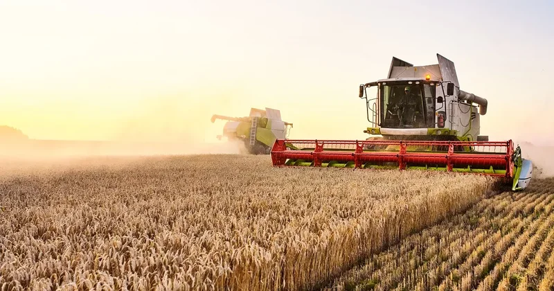 Bloomberg: Экспорт пшеницы с Украины упал почти на 25 процентов