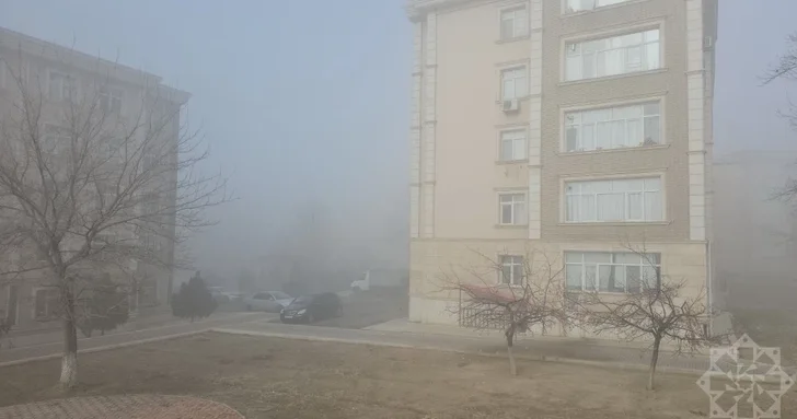 В Нахчыване густой туман затрудняет движение на дорогах
