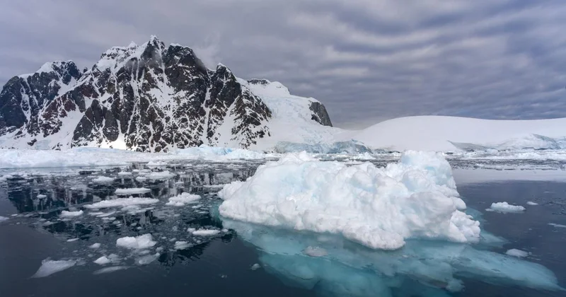 Buz çatışmazlığı və zəlzələlər: Antarktidada həyəcanverici dəyişikliklər
