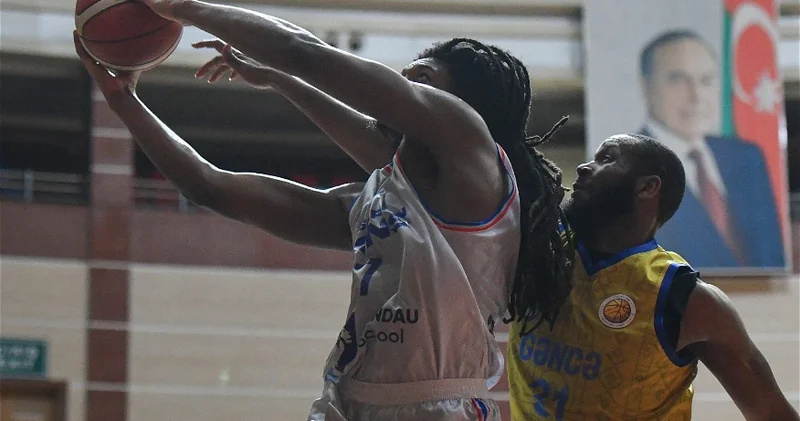 Львы решили задачу