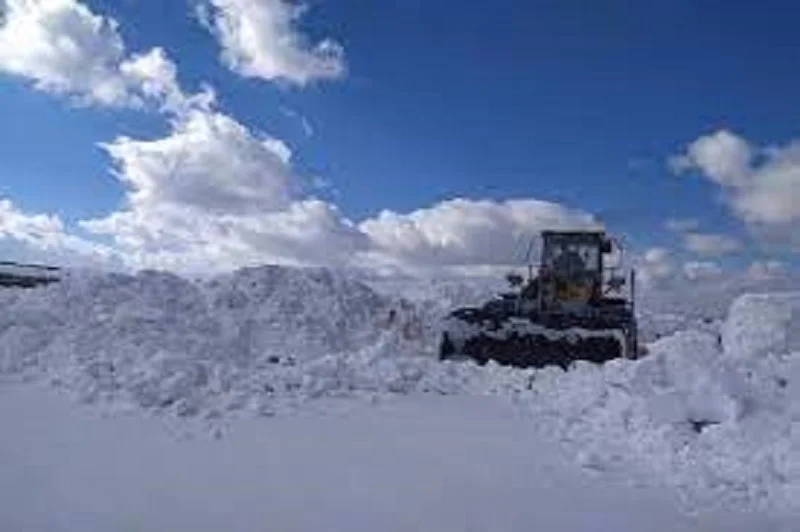 Güney Azərbaycanda məktəblər bağlandı