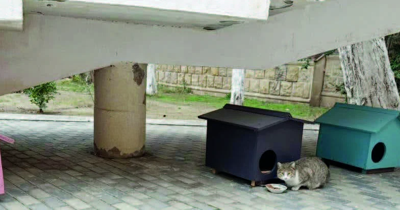 Heyvanlar da bu torpağın sakinləridir