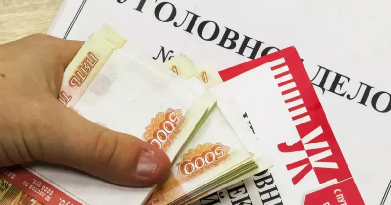 В России мигранты купили детям аттестаты для поступления на бюджет