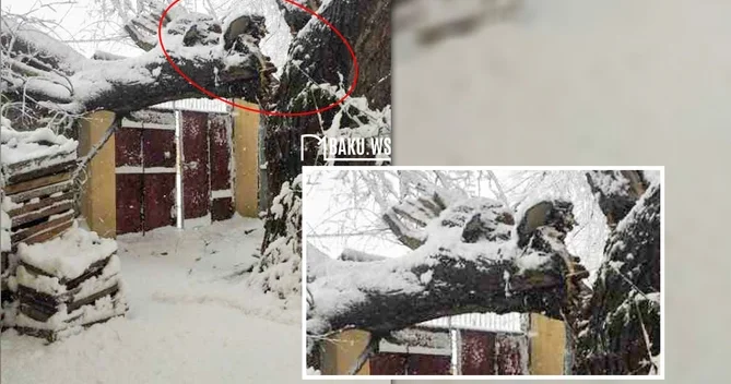 Güclü qar ağacı evin qapısına aşırdı Sakinlər çətin vəziyyətdə qaldı