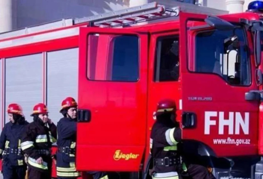 Qarayazı Dövlət Təbiət Qoruğunda başlayan yanğının söndürülməsi üçün tədbirlər görülür