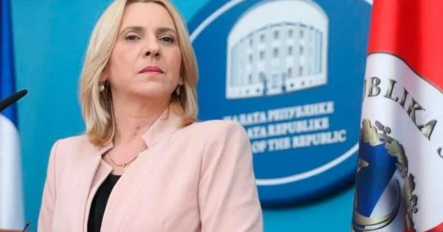 Bosniya və Herseqovina Rəyasət Heyətinin üzvü Azərbaycana gəldi