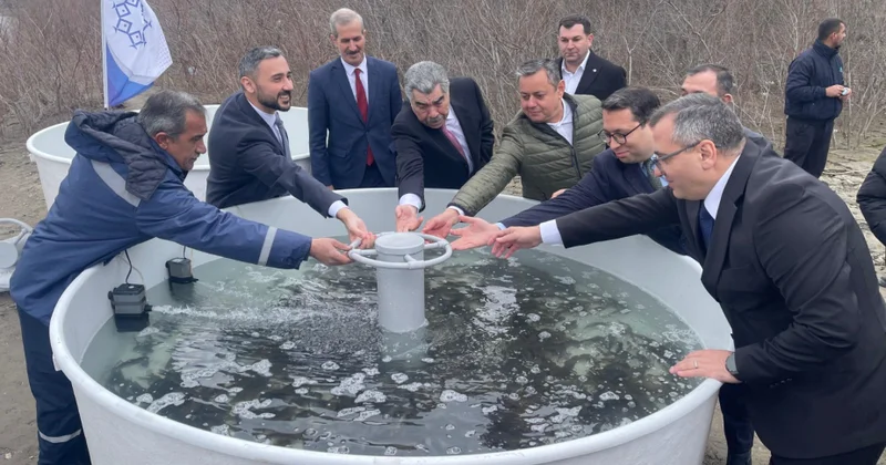 Kür çayına 4 min ədəd çəkikimi balıq körpəsi buraxılıb