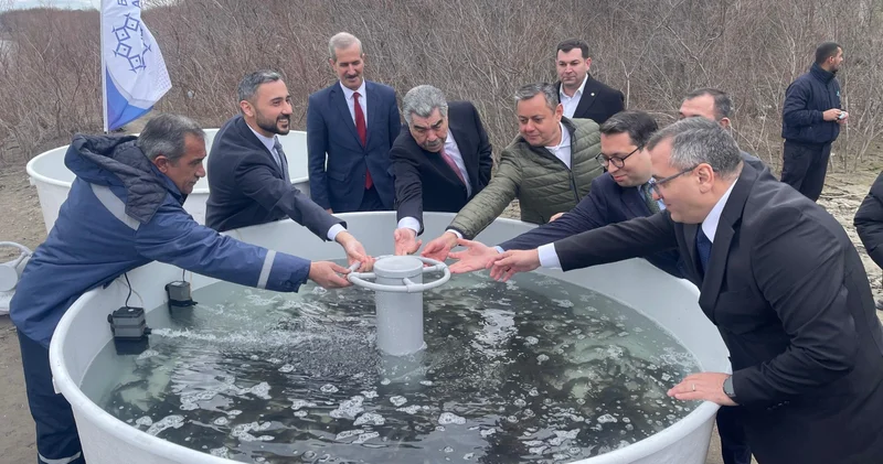 Живая рыба спасение Куры