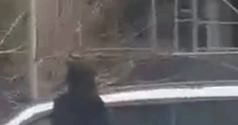 Bakıda çılpaq gəzən qadın psixi xəstəxanaya yerləşdirildi FOTO