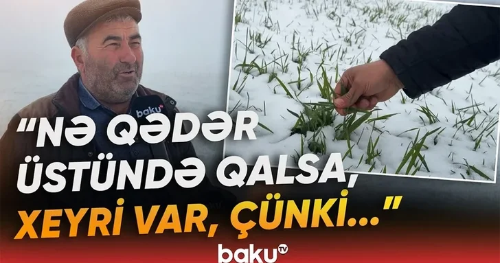 Мартовский снег в Шамахы: как это скажется на урожае?