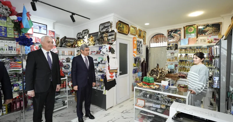 Laçında özünüməşğulluq proqramı çərçivəsində qurulmuş təsərrüfatlara baxış olub