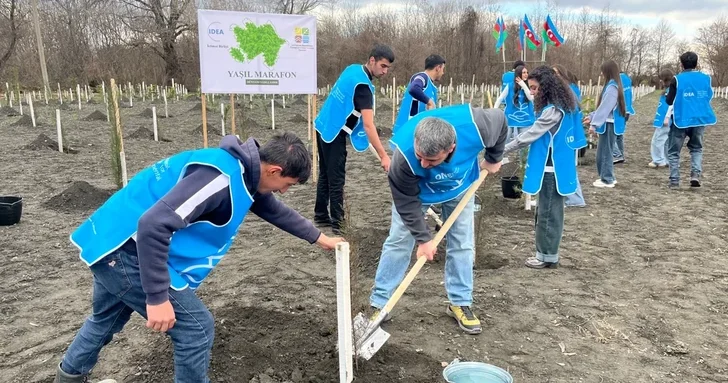По инициативе Лейлы Алиевой в Загатале прошла первая акция Зеленый марафон 2026