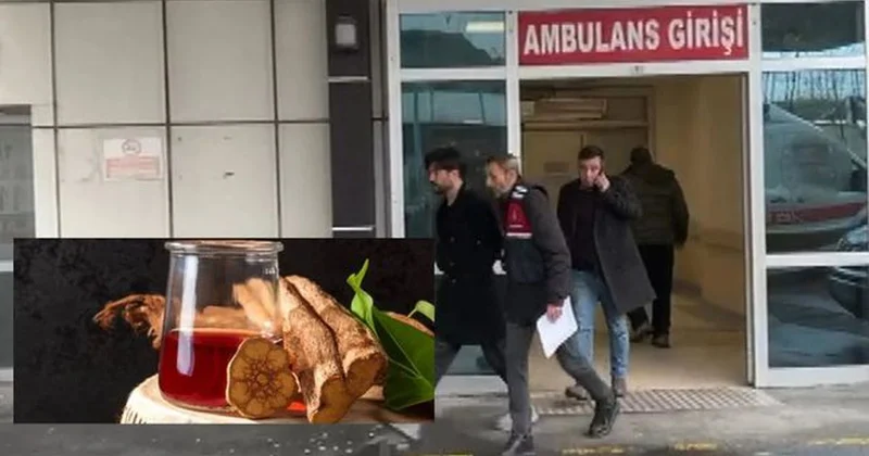 Yusuf Güneyin həbsinə səbəb olan Ayahuasca çayı nədir? Qadağandırmı?