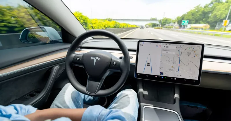 В Нидерландах разрешили использовать беспилотные Tesla