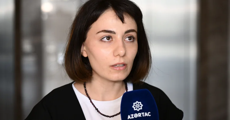 Eleonora Sarkisyan: Dialoqun davam etdirilməsi Ermənistanın ilkin və əsas gözləntisidir