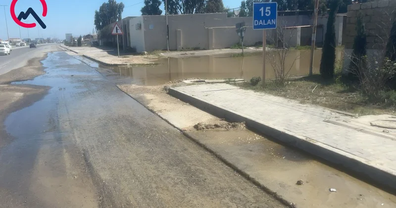 “Ləhiş bağlarına gedən yolu 20 gündən çoxdur su basıb” Video