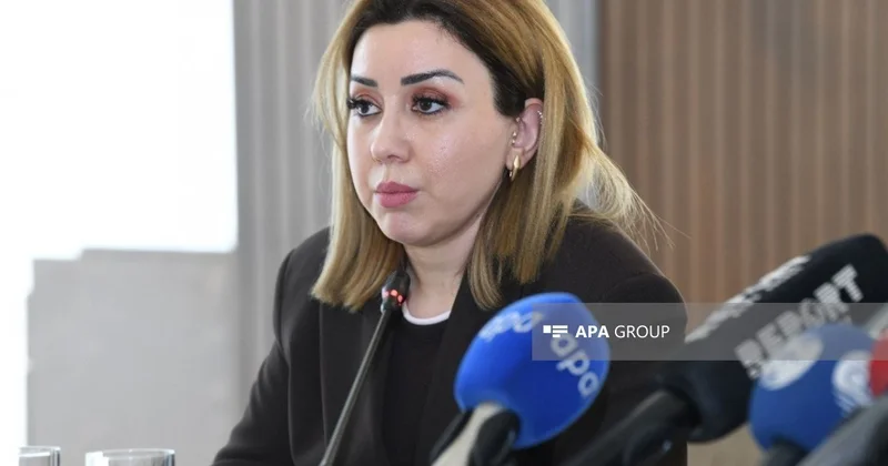 Кямаля Мамедова: СМИ усиливают диалог между Азербайджаном и Арменией