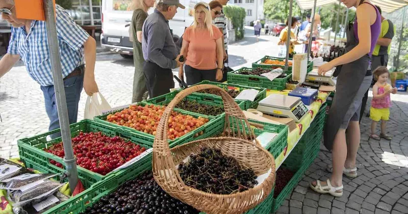 Bakıda fantastik qiymətə gilas satılır FOTO
