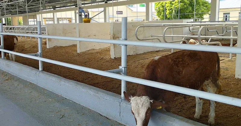 “Qoç Ət” in Xocalının Xanabad kəndindəki müəssisəsinin məhsulları BƏƏ və Qətərə ixrac olunacaq