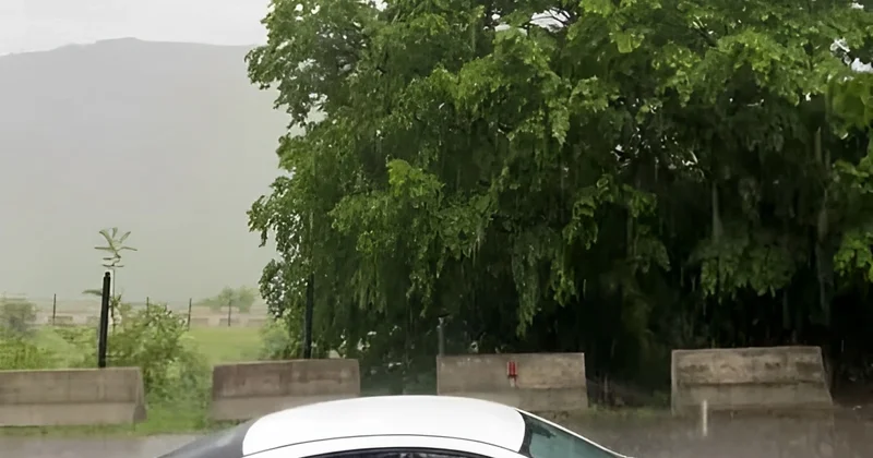 Bəzi rayonlara dolu DÜŞDÜ