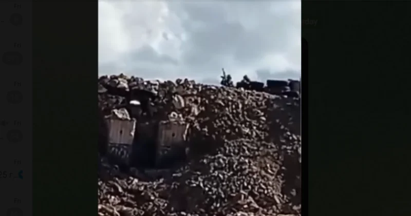 Кривляние, стриптиз и угрозы: приматы на армянской стороне границы ВИДЕО