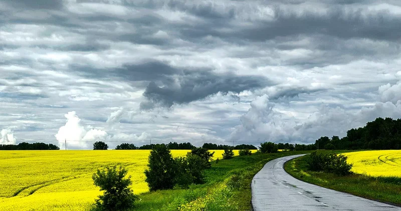 Нестабильная погода в Азербайджане сохранится еще четыре дня