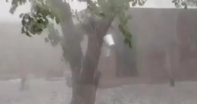 Rayonlara dolu yağıb Fotolar