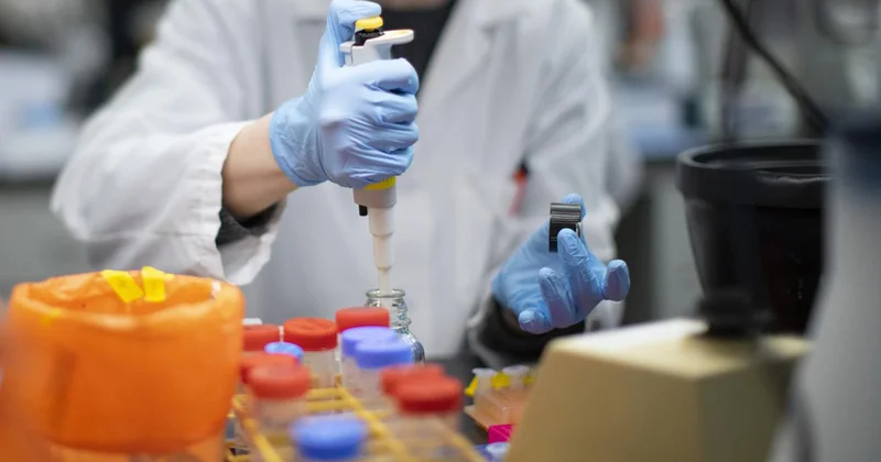Taylandda yarasalarda yeni koronavirus ştamı tapıldı