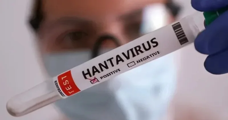 Hantavirus epidemiyası riski nə qədərdir? ÜST dən açıqlama