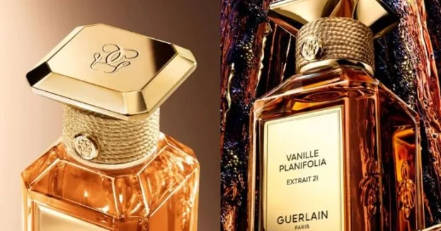 600 dollarlıq TikTok trendi: Guerlain ətri haqqında nələri bilməliyik?