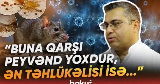 Yeni yayılan virusla bağlı xəbərdarlıq: Xəstələr çox vaxt bu cür şoka düşür Baku TV