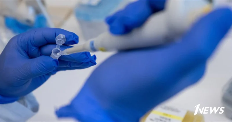 ВОЗ: Растет количество зараженных хантавирусом