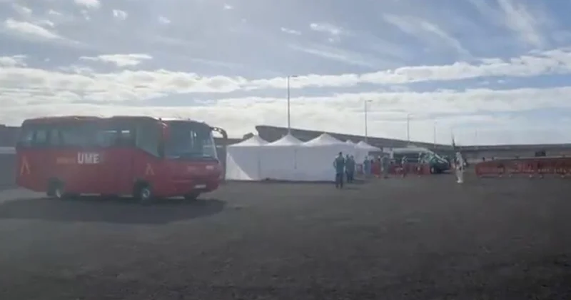 ÜST: Hantavirus epidemiyası riski çox azdır