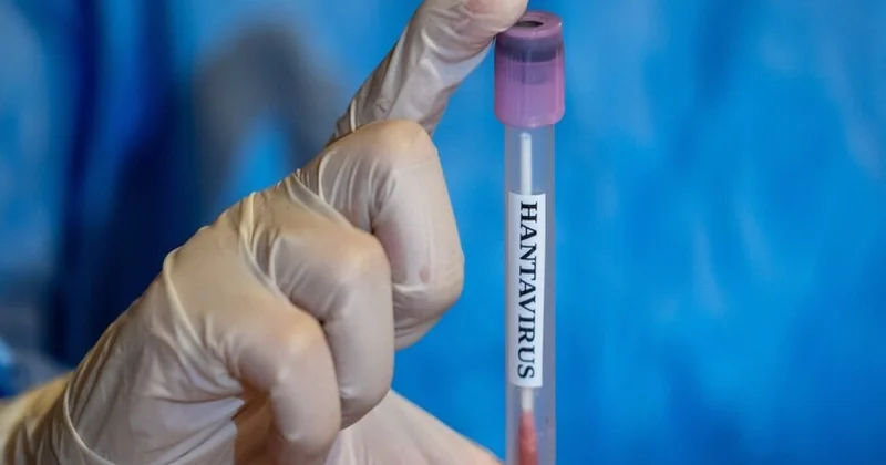 Hantavirus aşkarlanan gəmidən təxliyə edilən Türkiyə vətəndaşlarının test nəticələri neqativ çıxıb