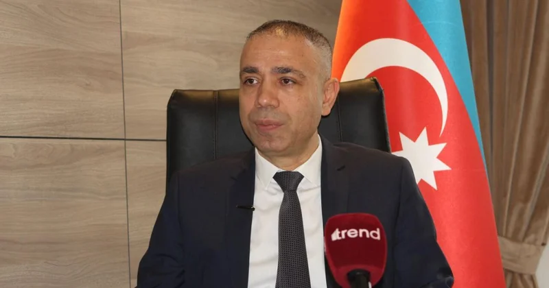 Azərbaycanın "yaşıl enerji" ilə bağlı Avropa istiqamətində nəhəng planları var Nazir müavini
