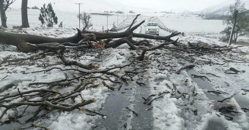 CAR da əlverişsiz hava səbəbindən 49 nəfər ölüb