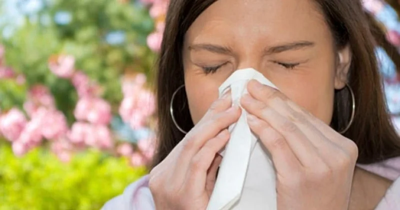 SN nin canlısında mövsümi allergiyalardan danışılacaq