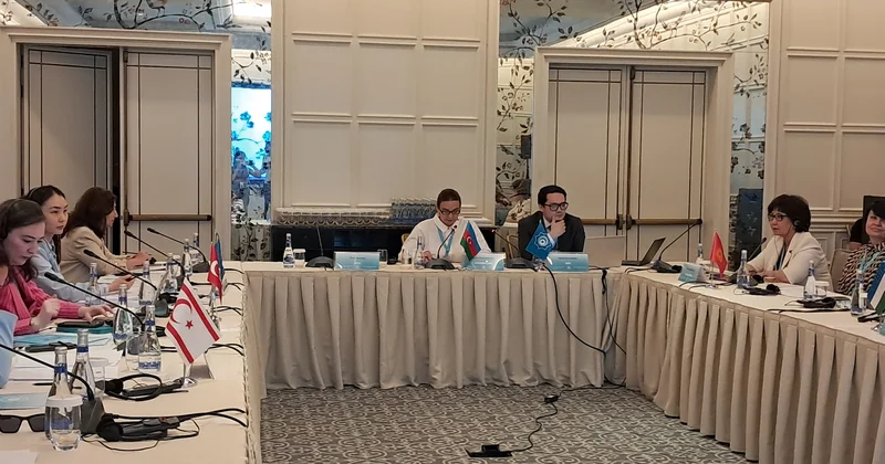 TDT nın Ailə və Sosial Siyasət üzrə ekspertlərin görüşü olub FOTOLAR