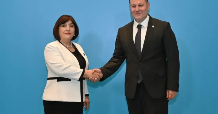 Sahibə Qafarova Şimali Kipr Türk Cümhuriyyəti Məclisinin sədri ilə görüşdü