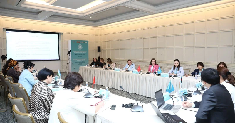 TDT nin üzv və müşahidəçi dövlətlərinin ekspertlərinin iclası keçirilib