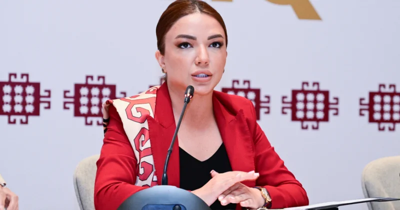 Aygün Əliyeva: Qərbi Azərbaycan qayıdış mövzusu dövlət siyasətinin əsasını təşkil edir