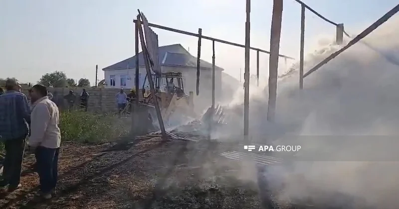 Salyanda fermada yanğında xeyli mal qara tələf olub, 7 min ot bağlaması yanıb FOTO