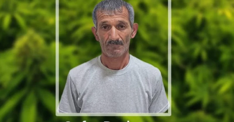 Yaşadığı evin həyətində narkotik tərkibli bitkilər yetişdirən şəxs saxlanılıb