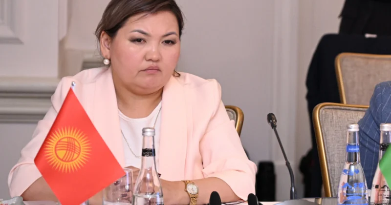 Qırğızıstanlı nazir müavini: Cəmiyyətin dəyişən dinamikası ailə münasibətlərinə yeni çağırışlar yaradır