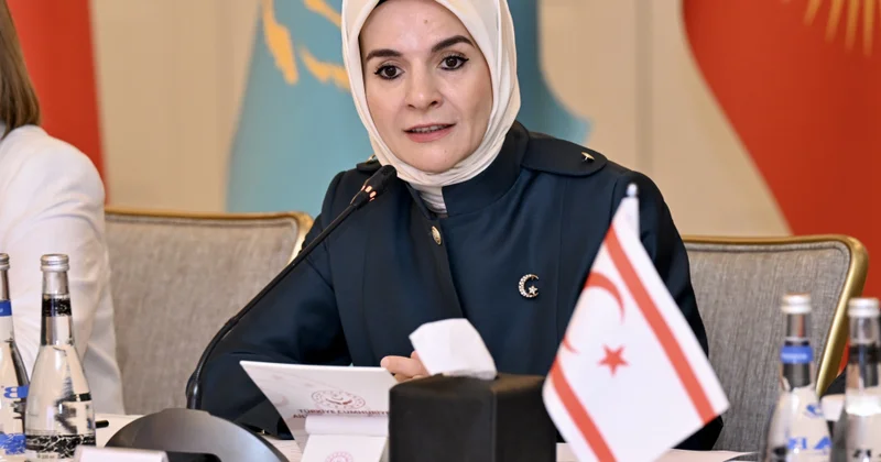 Mahinur Özdemir Göktaş: Türkiyədə sosial siyasət sahəsində mühüm addımlar atılır