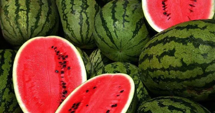20 yaşlı gənci öldürən qarpız Azərbaycana İrandan gətirilib